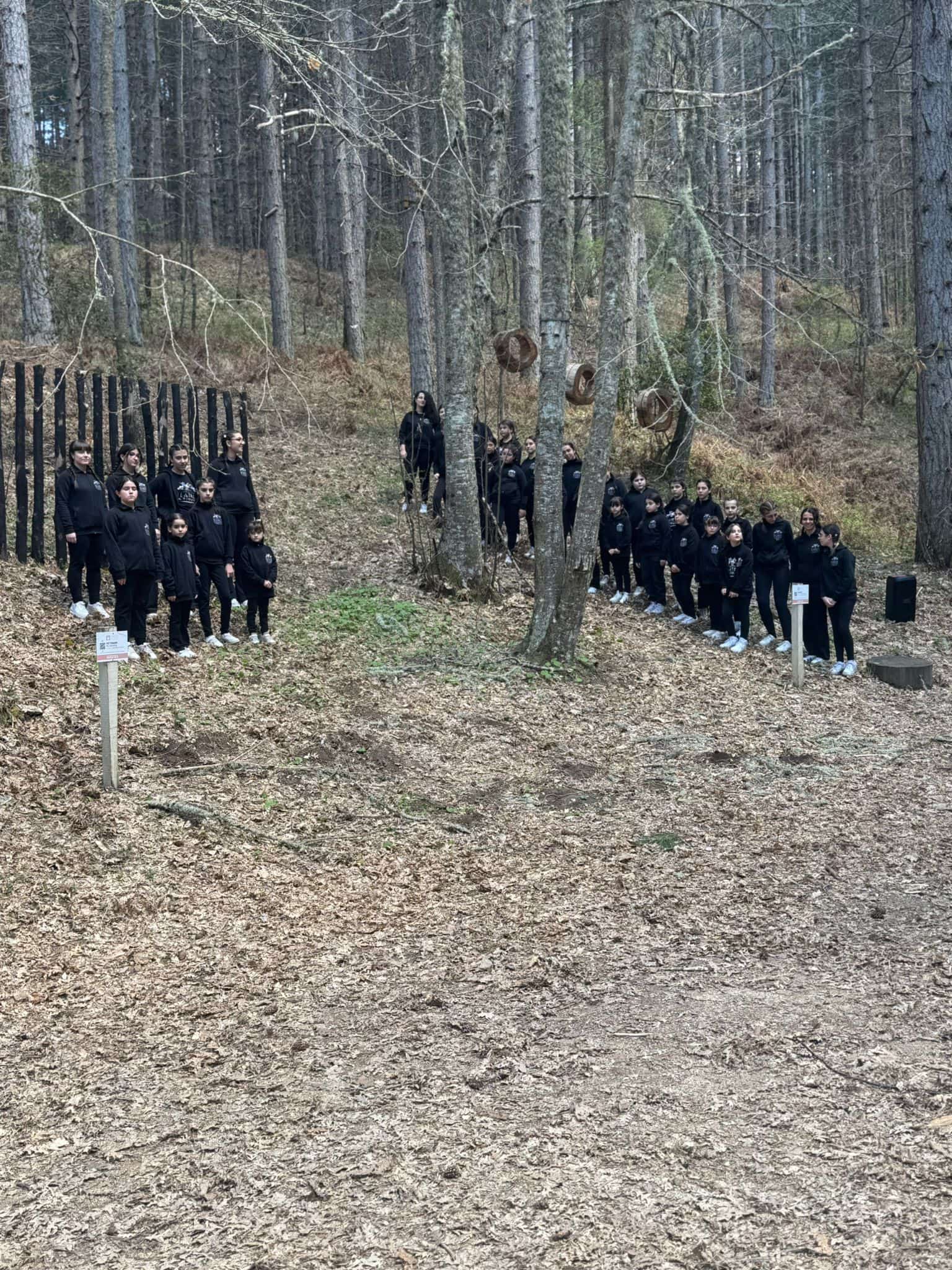 Sila Ecoritmi culturali 2 - Meraviglie di Calabria - 2