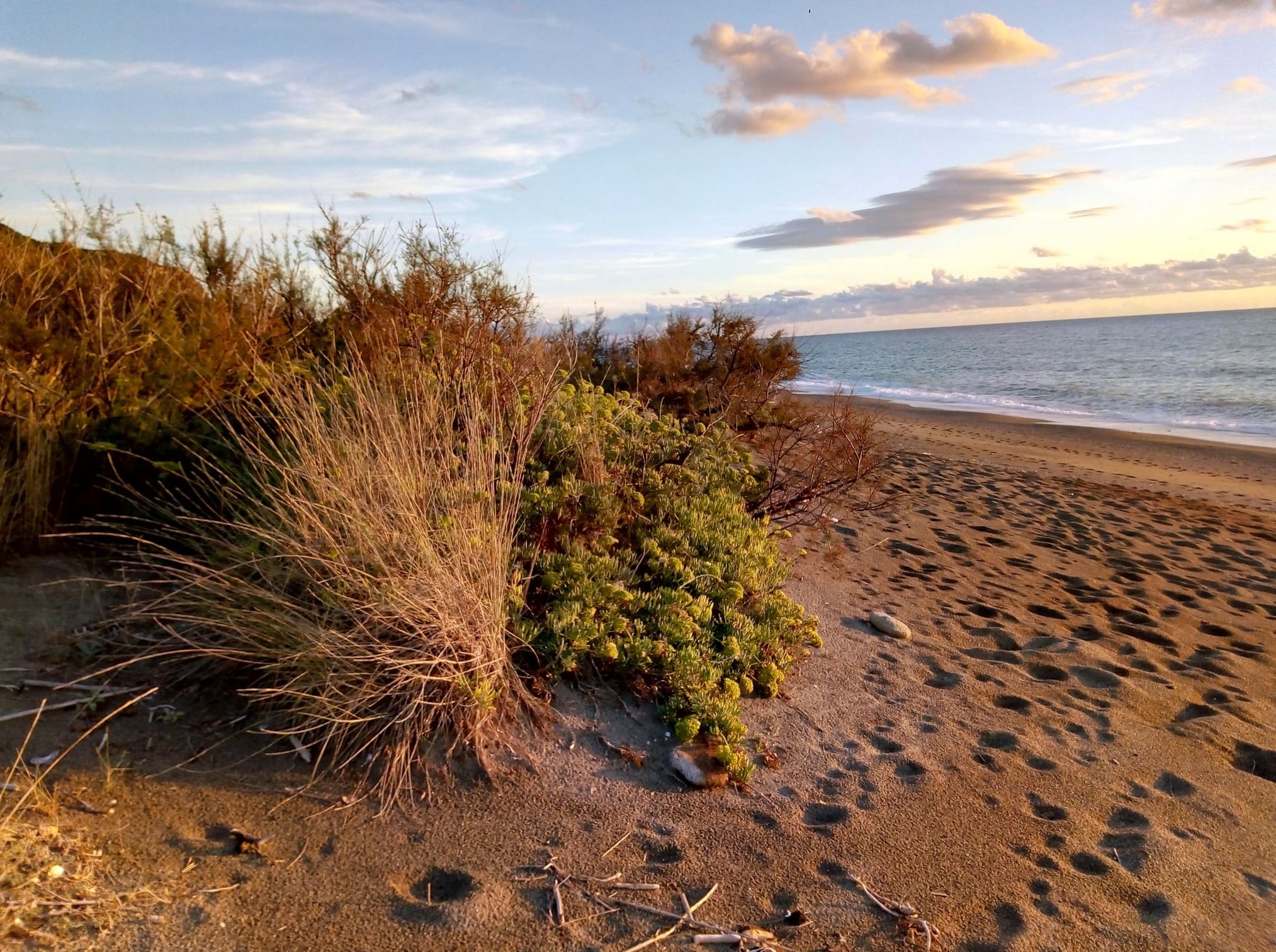 Spiaggia Lipu fratino Foto di Michaela Iannone - Meraviglie di Calabria - 10