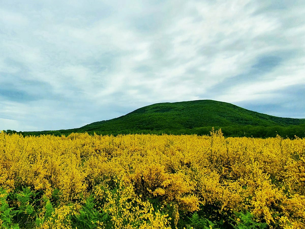 aspromonte mediterraneo ph guide parco aspromonte 1 - Meraviglie di Calabria - 6