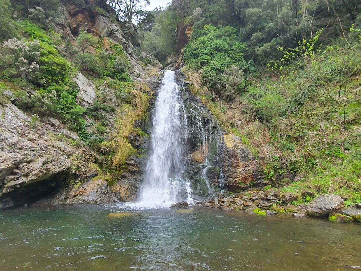 aspromonte mediterraneo ph guide parco aspromonte 2 - Meraviglie di Calabria - 8
