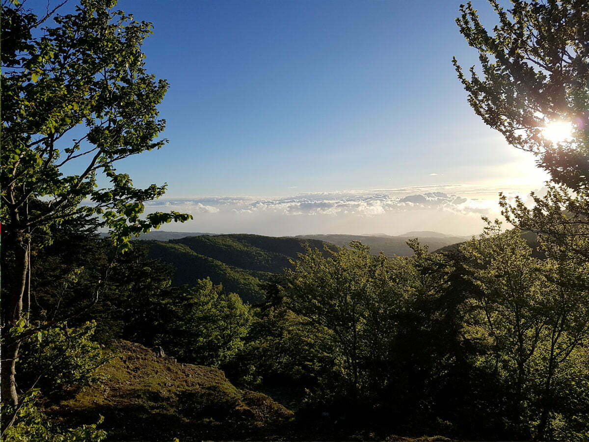 aspromonte mediterraneo ph guide parco aspromonte 3 - Meraviglie di Calabria - 4