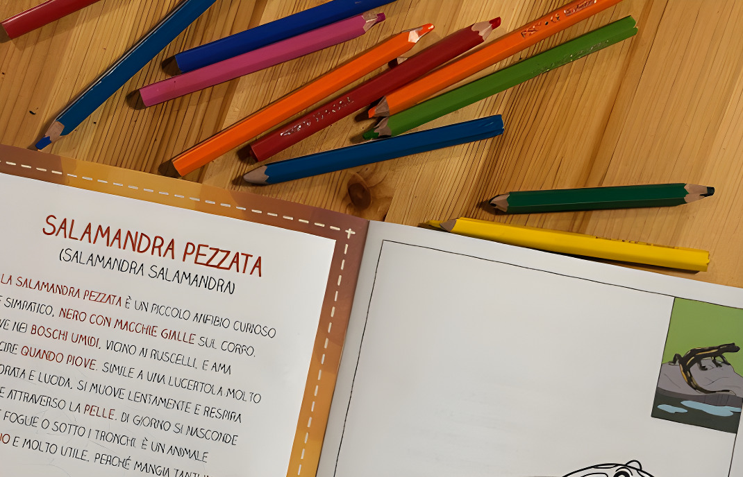 foto coccole catasta 3 a - Meraviglie di Calabria - 4