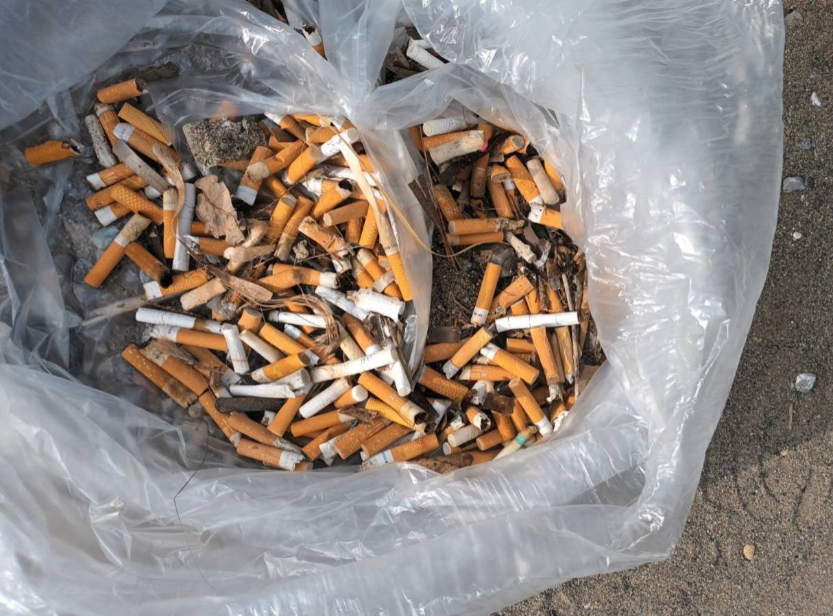 mare Ambiente Mare Italia 4 - Ambiente Mare Italia, in Calabria 31 eventi per la Settimana Verde - 13 mare Ambiente Mare Italia 4 - Meraviglie di Calabria - 12