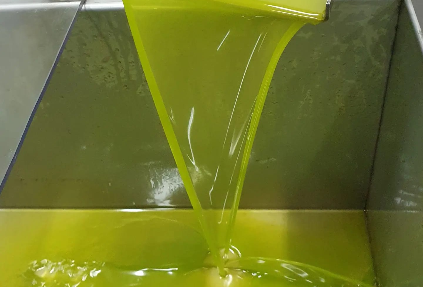 olio - Meraviglie di Calabria - 2