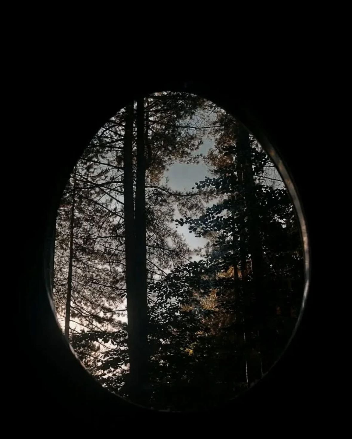 sila sorbo san basile 1 - Connettersi con la natura, a Sorbo San Basile nasce Ecoritmi Culturali - 7 sila sorbo san basile 1 - Meraviglie di Calabria - 6