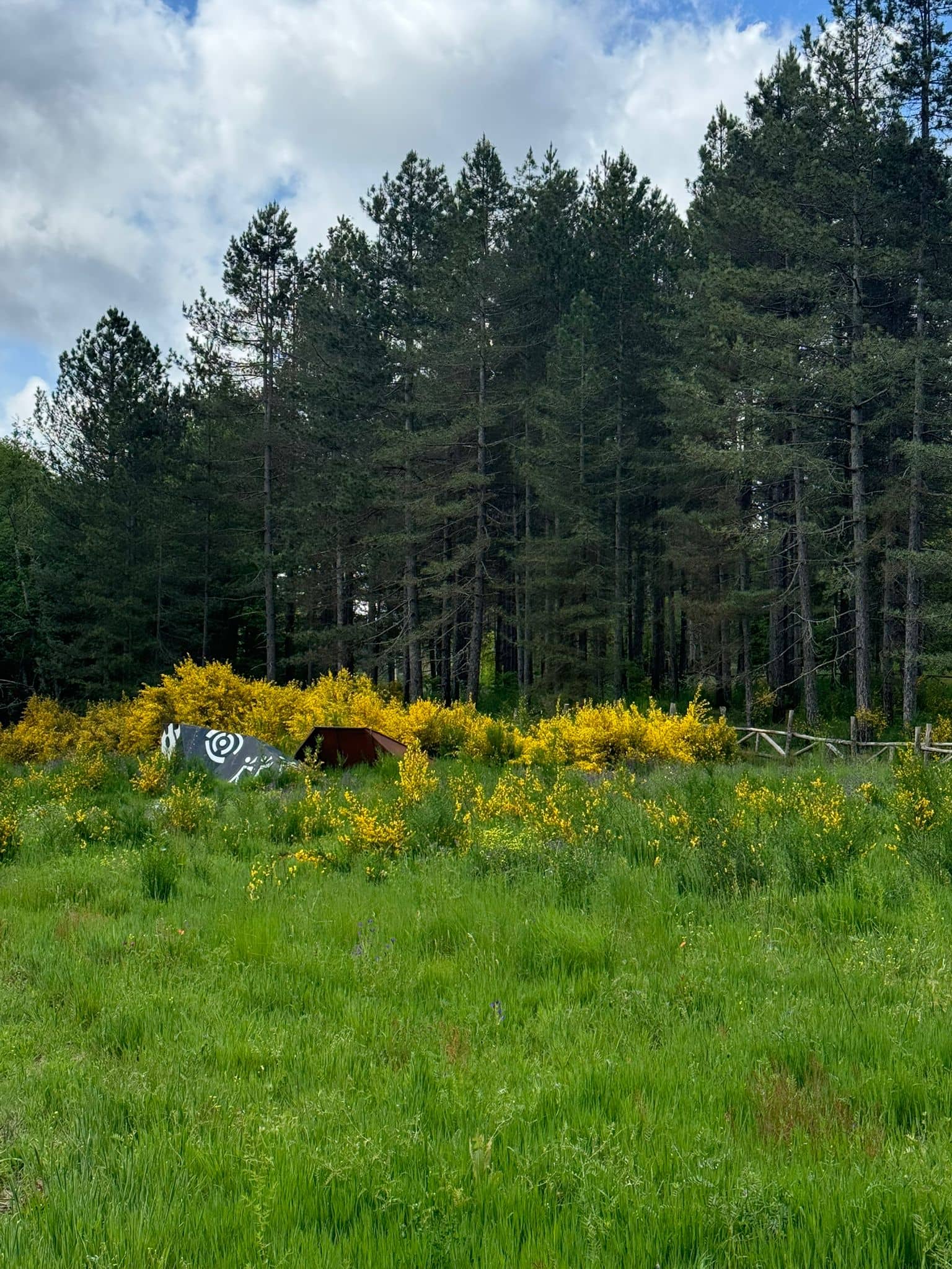 sila sorbo san basile 2 - Connettersi con la natura, a Sorbo San Basile nasce Ecoritmi Culturali - 5 sila sorbo san basile 2 - Meraviglie di Calabria - 4