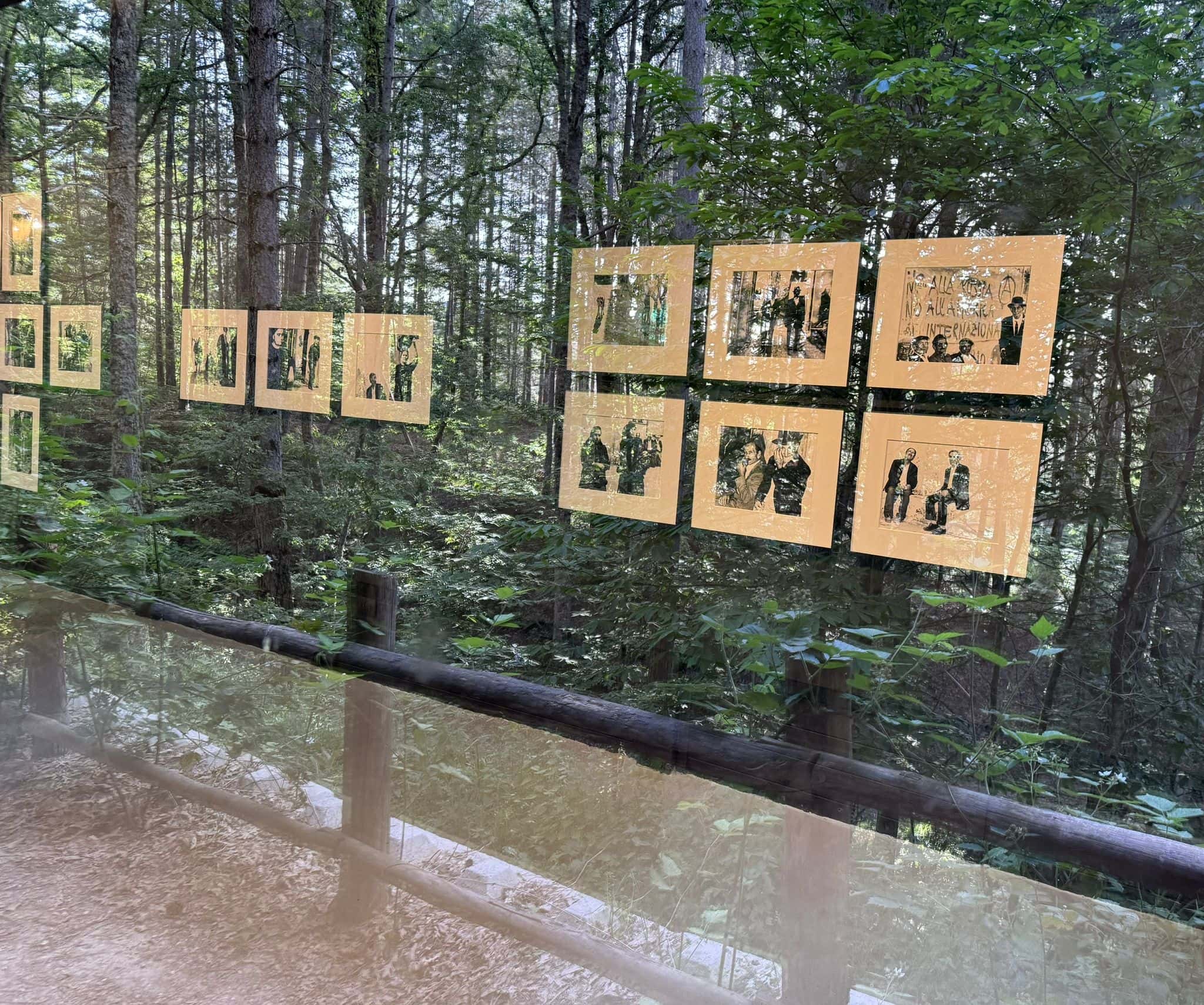 sila sorbo san basile - Connettersi con la natura, a Sorbo San Basile nasce Ecoritmi Culturali - 3 sila sorbo san basile - Meraviglie di Calabria - 2