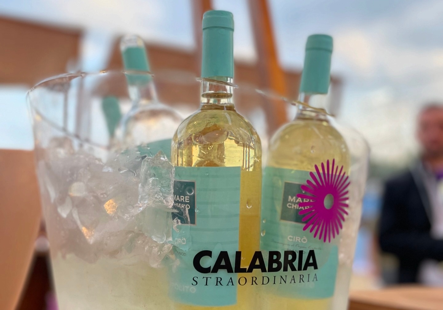 Calabria Straordinaria e Arsac, al Vinitaly la Calabria stupirà