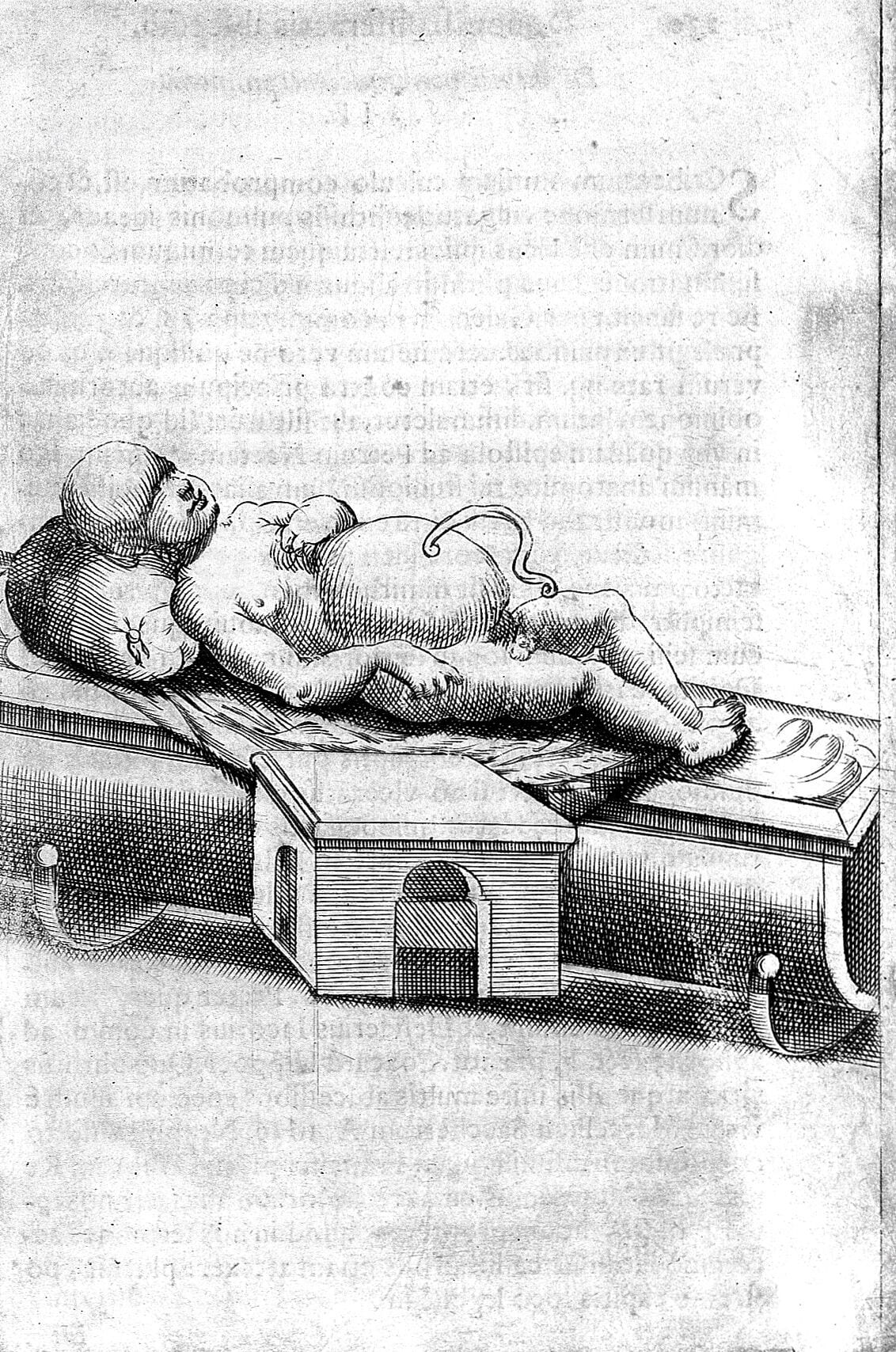 Marco Aurelio Severino illustrazione 3 - Meraviglie di Calabria - 6