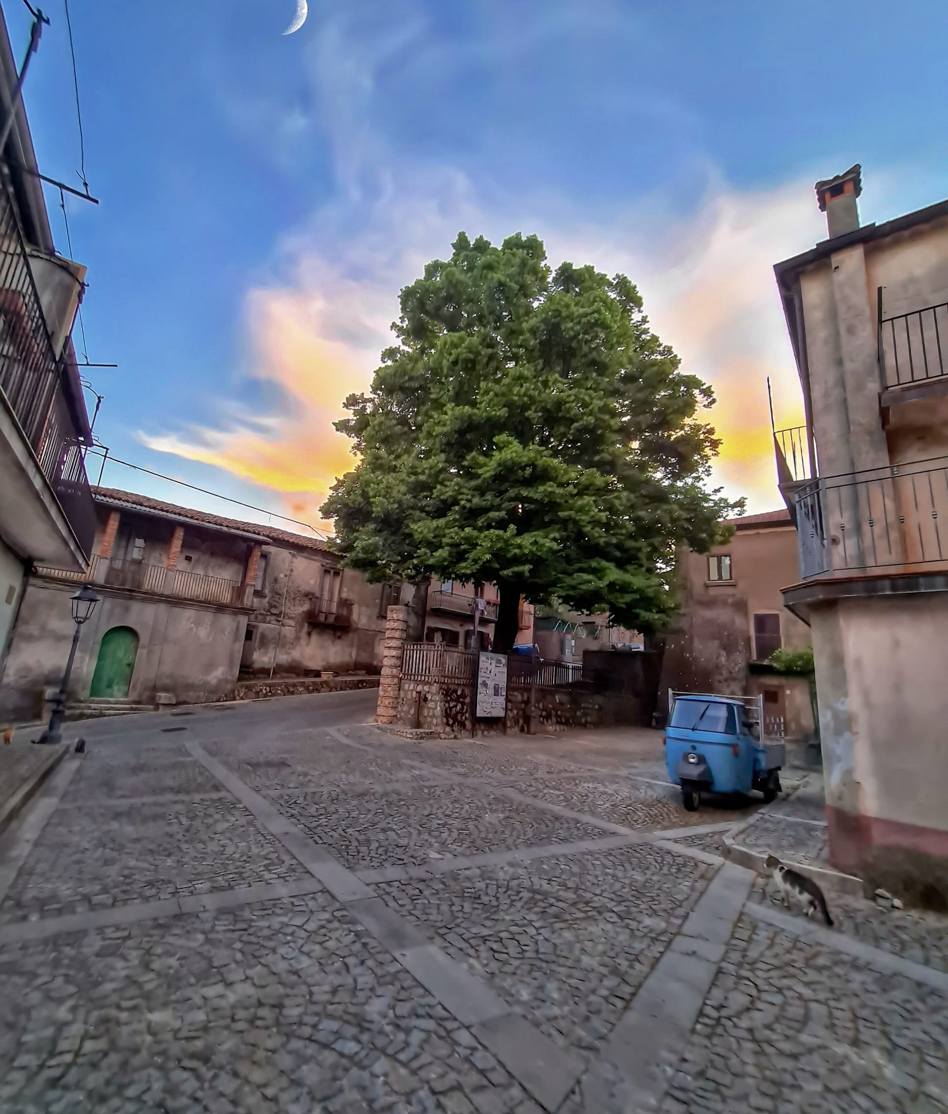 Mongiana Crediti Pasquale Rullo 75240 - Meraviglie di Calabria - 4