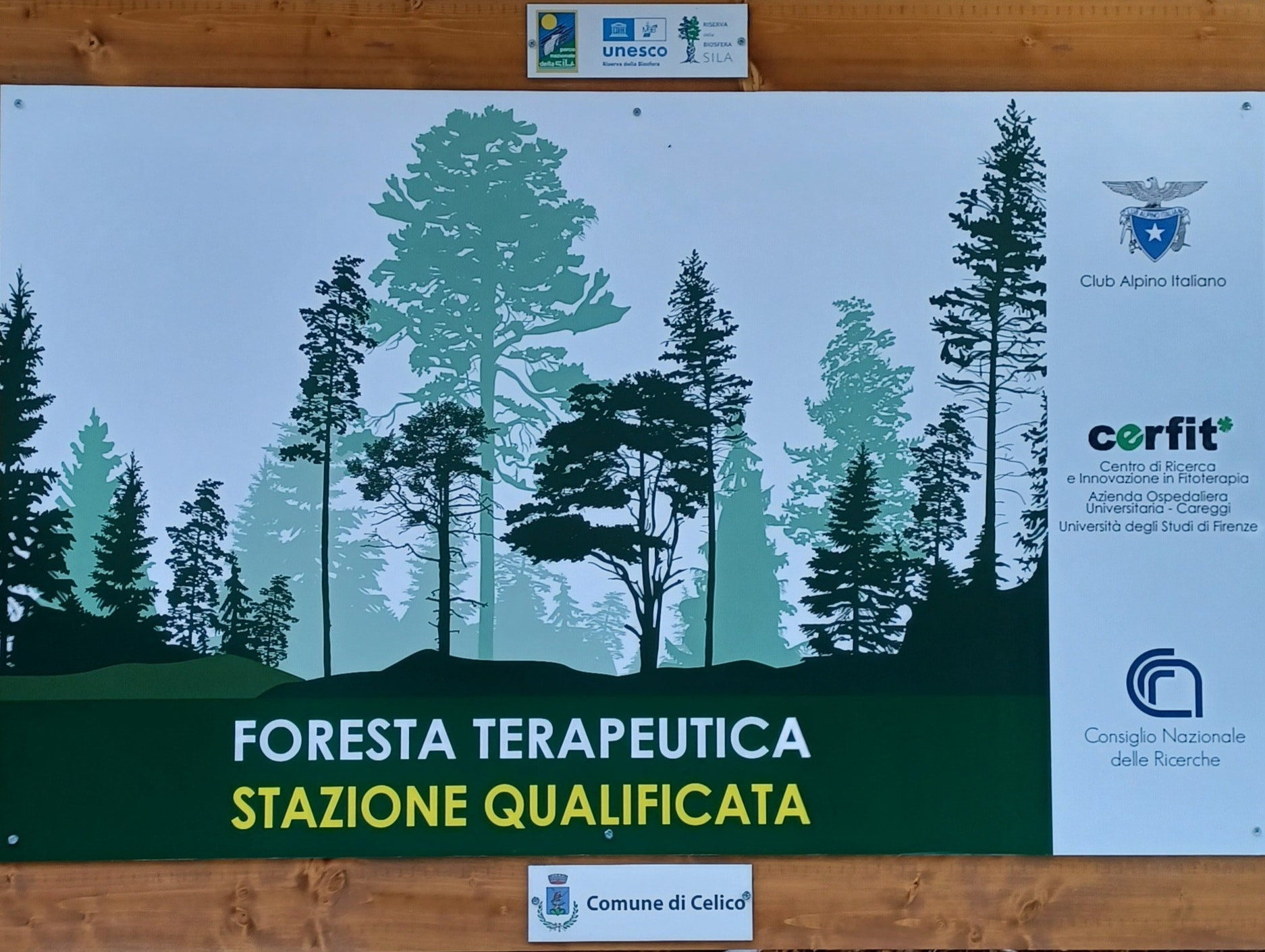 Sila sentiero foresta incantata 1 - Meraviglie di Calabria - 2