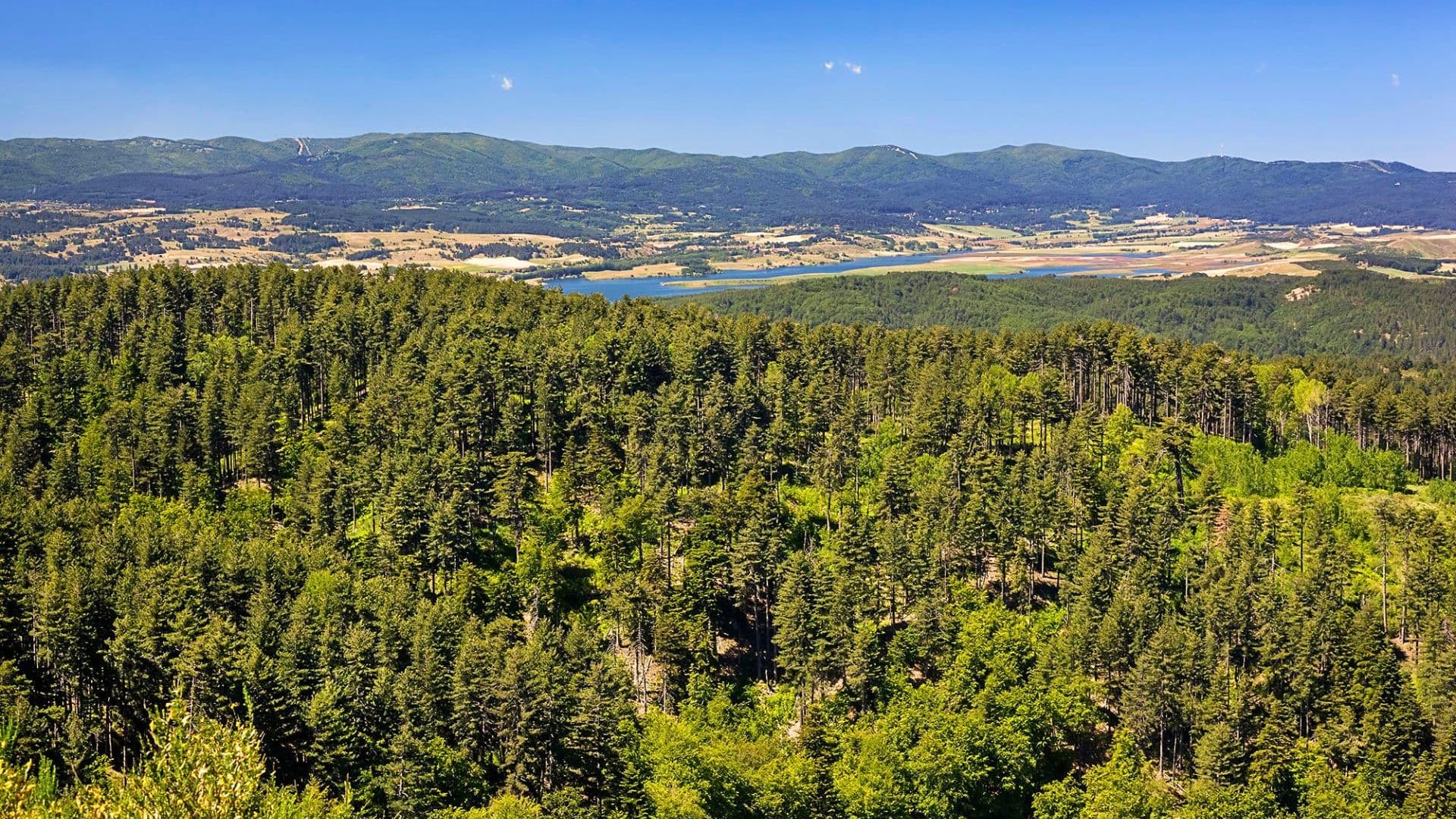 Sila - Il Parco della Sila e la LIPU rinnovano il patto per la tutela dell'avifauna - 11 Sila - Meraviglie di Calabria - 10