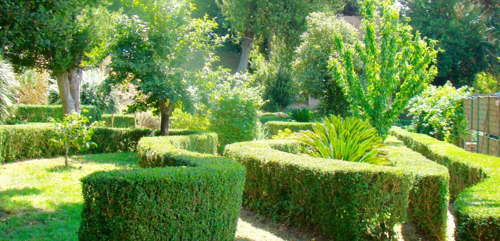 Vibo Palazzo Murmura giardino allitaliana 3 - Dimore storiche, a Tropea e Vibo tre palazzi aprono ai visitatori - 17 Vibo Palazzo Murmura giardino allitaliana 3 - Meraviglie di Calabria - 16