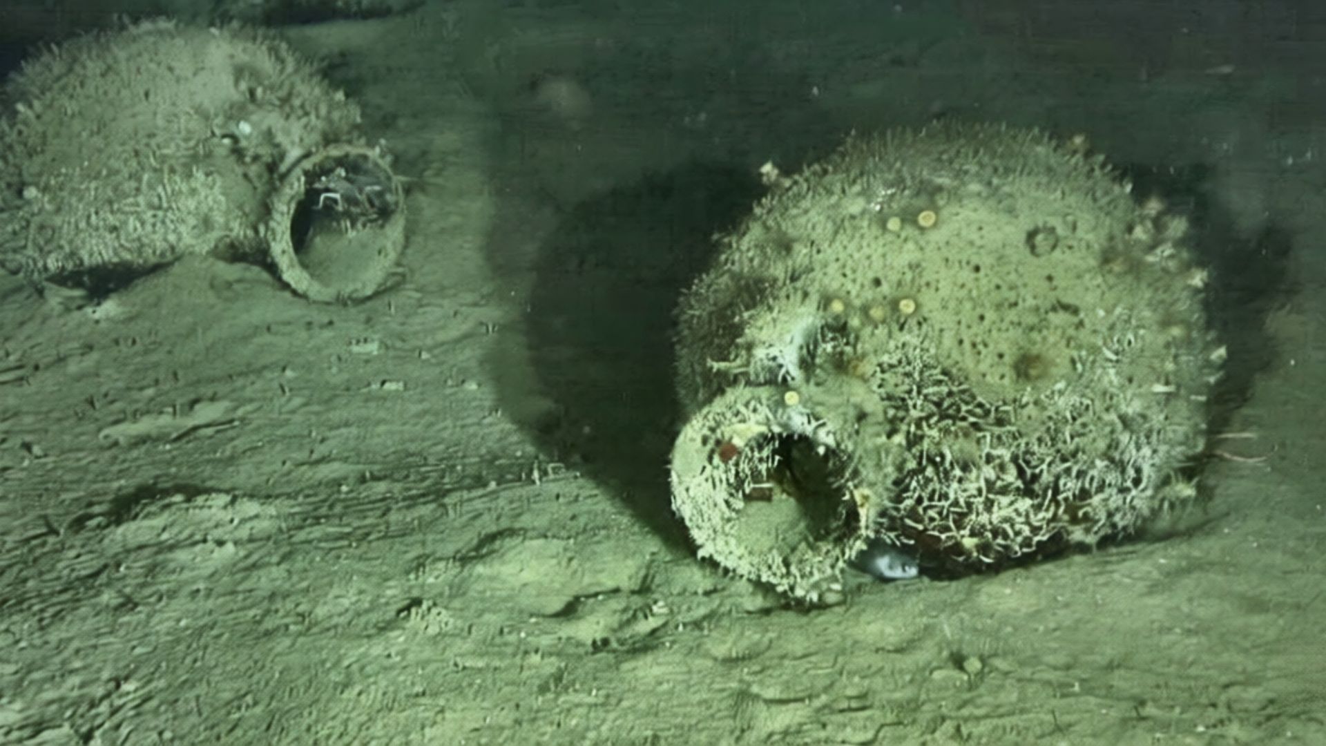 Scoperte in fondo al mare, Monasterace regala nuovi tesori