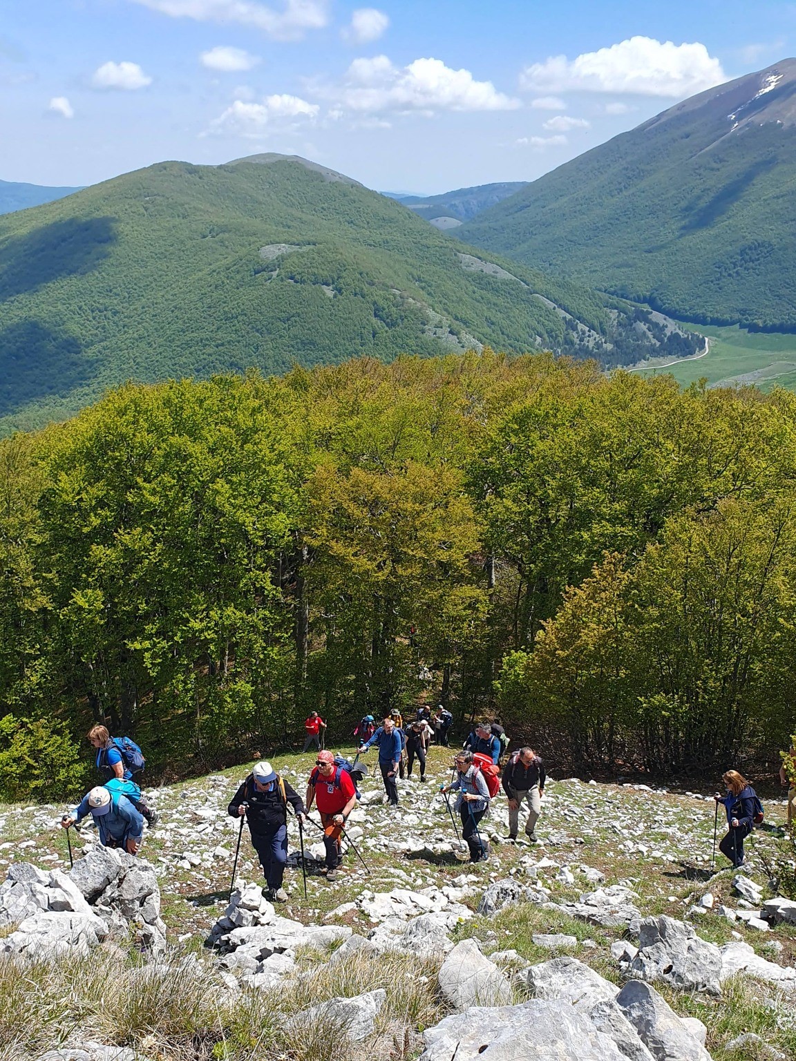 faggeta pollino - Alla scoperta della faggeta vetusta di Coppola di Paola nel Parco Nazionale del Pollino - FOTO - 3 faggeta pollino - Meraviglie di Calabria - 2