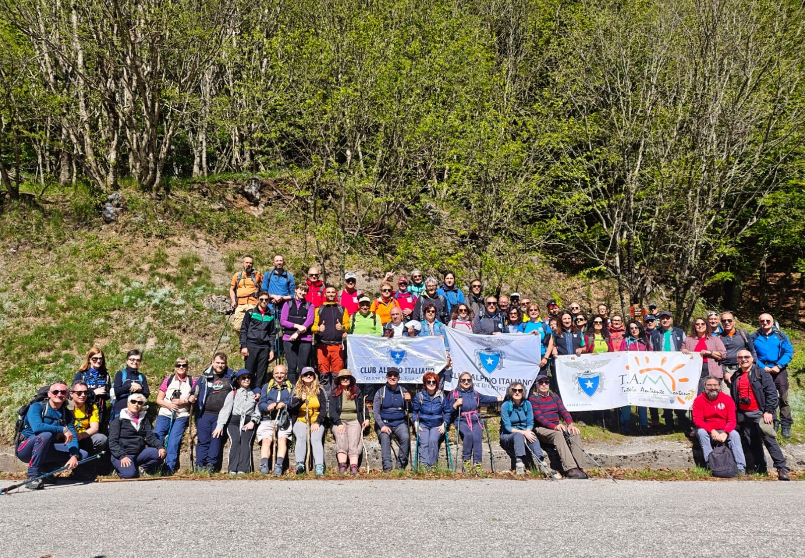 faggeta pollino3 - Alla scoperta della faggeta vetusta di Coppola di Paola nel Parco Nazionale del Pollino - FOTO - 5 faggeta pollino3 - Meraviglie di Calabria - 4