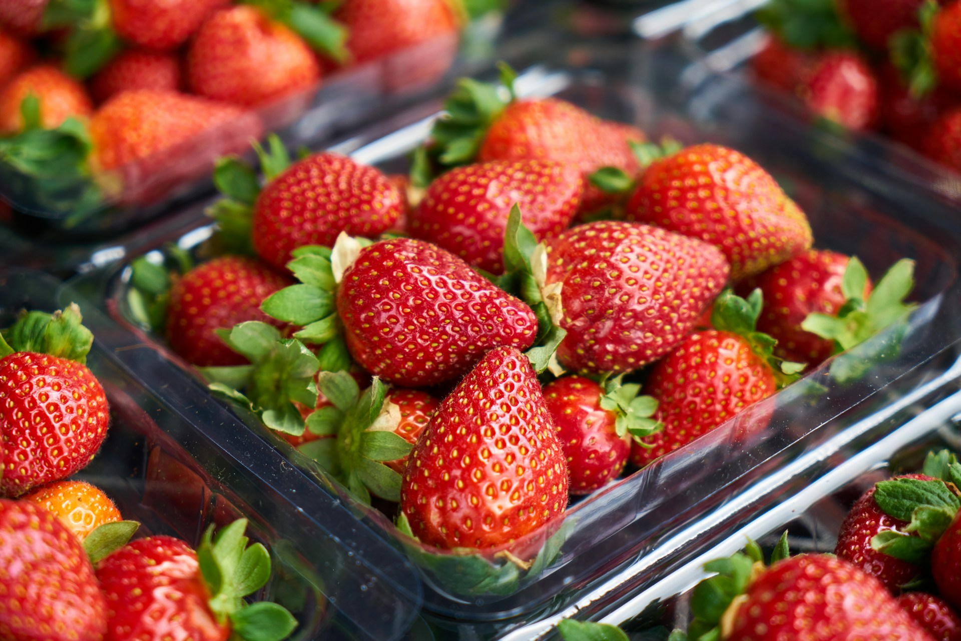 fragole 3 - Feste di primavera, Acconìa di Curinga celebra le sue super fragole - 11 fragole 3 - Meraviglie di Calabria - 10