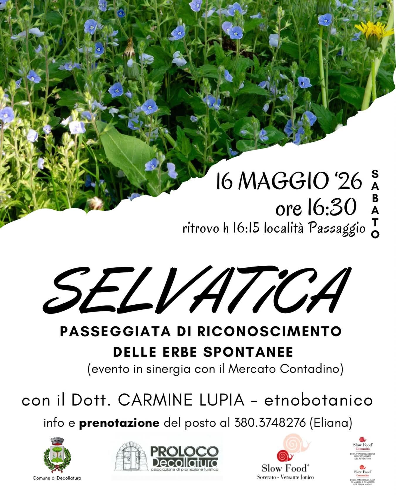loc 1 1 - "Selvatica", alla scoperta delle erbe spontanee di Decollatura - 3 loc 1 1 - Meraviglie di Calabria - 2