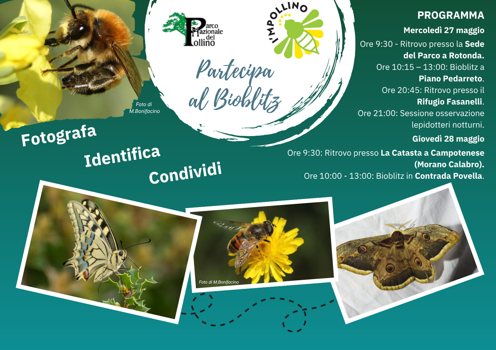 loc l - Bioblitz nel Parco del Pollino, alla scoperta della biodiversità - 3 loc l - Meraviglie di Calabria - 2
