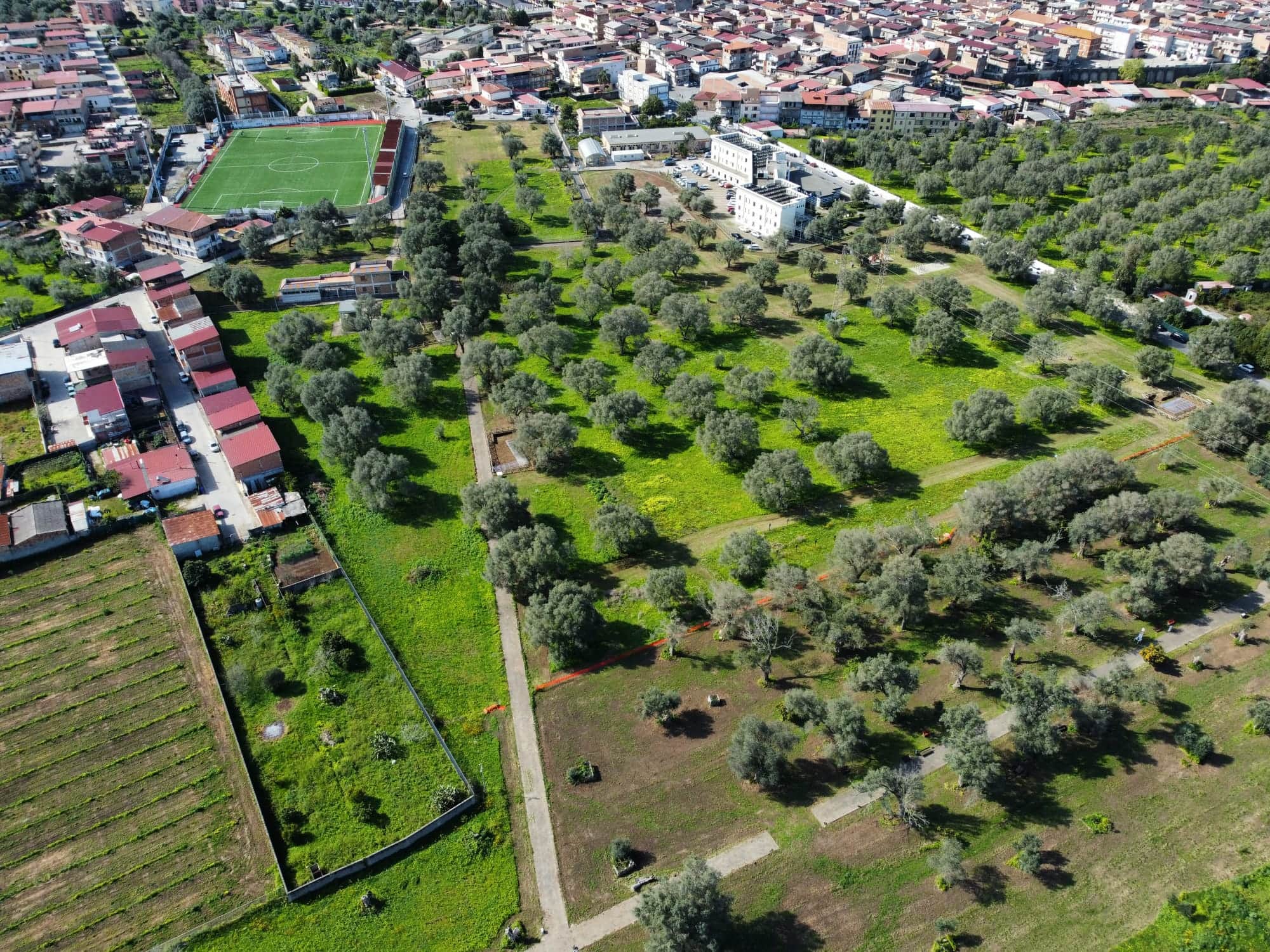 medma rosarno 3 - Meraviglie di Calabria - 8