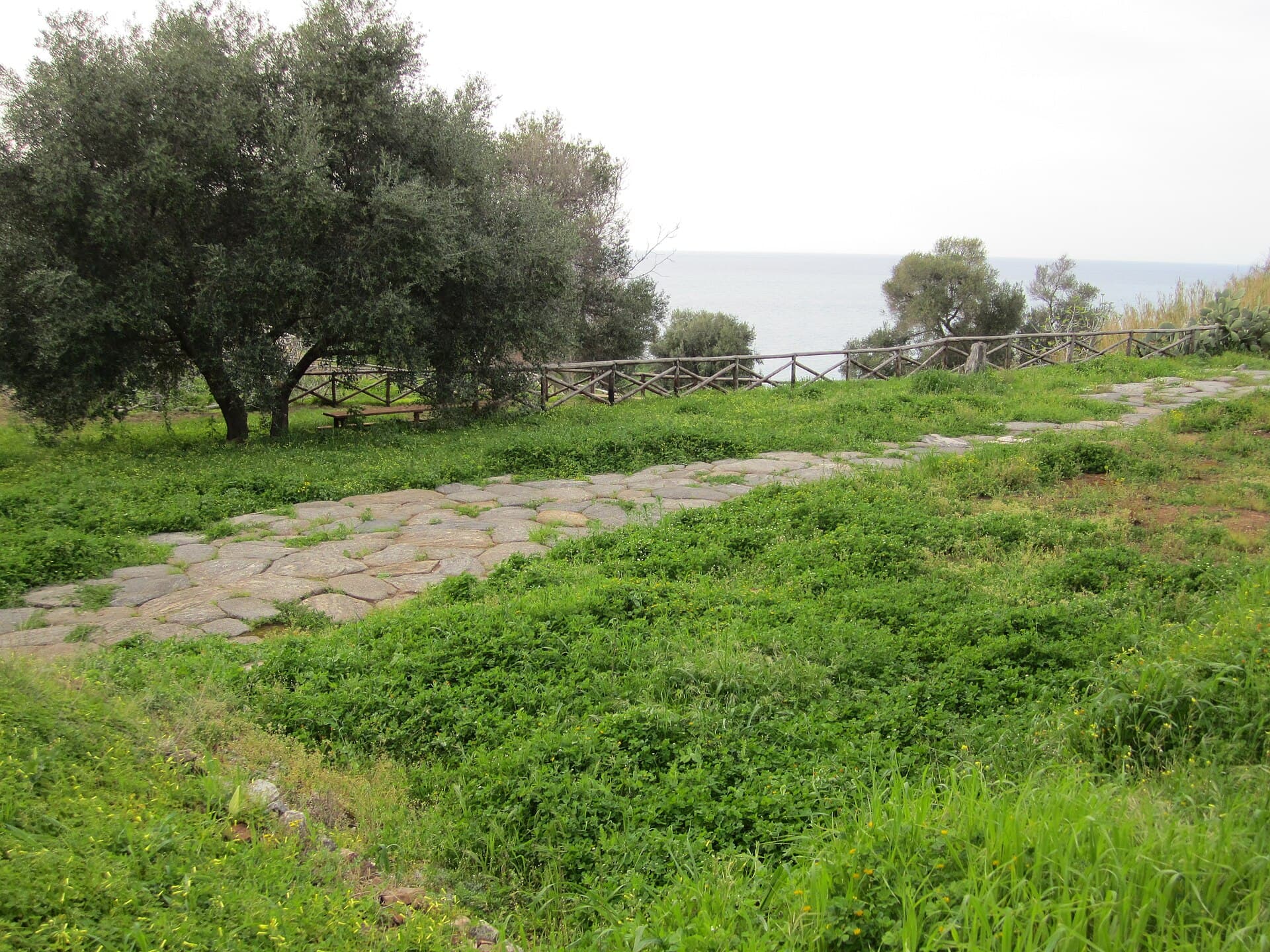 Tremila anni di bellezza, riapre il Parco Archeologico dei Tauriani