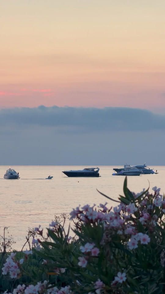 732832136 1508103324693982 4596255503715611471 n - Meraviglie di Calabria - 4