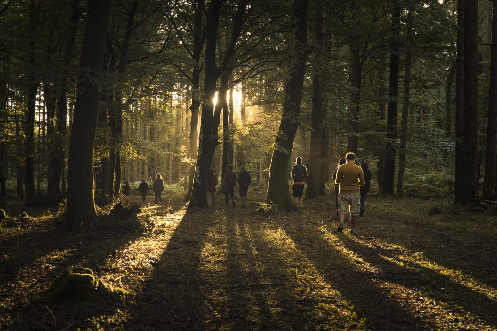 Aspromonte ph Embody Art 1 - Meraviglie di Calabria - 2