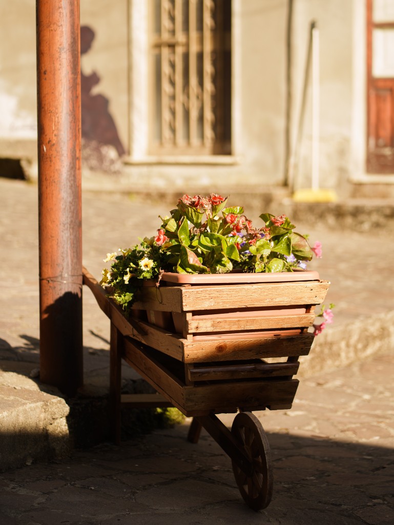 Brognaturo 6 - Meraviglie di Calabria - 4