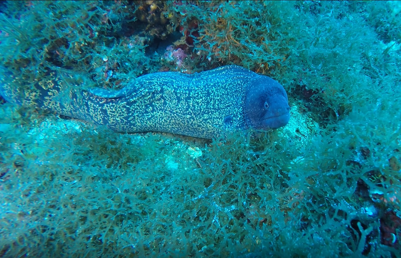 Mare PARCO SECCADIAMENDOLARA 2 - Meraviglie di Calabria - 4