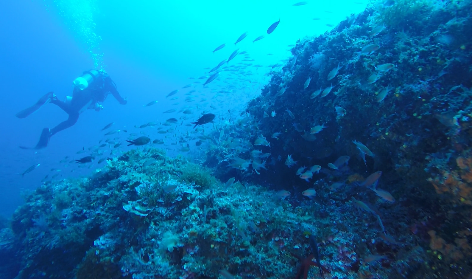 Mare PARCO SECCADIAMENDOLARA 3 - Meraviglie di Calabria - 2
