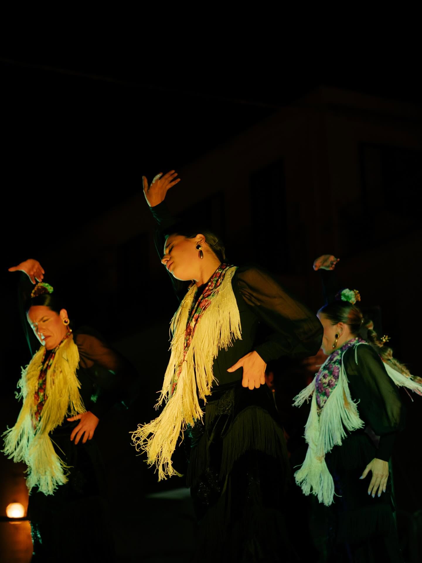 San Lucido Flamenco 5 - San Lucido capitale del flamenco e della creatività mediterranea - 17 San Lucido Flamenco 5 - Meraviglie di Calabria - 16