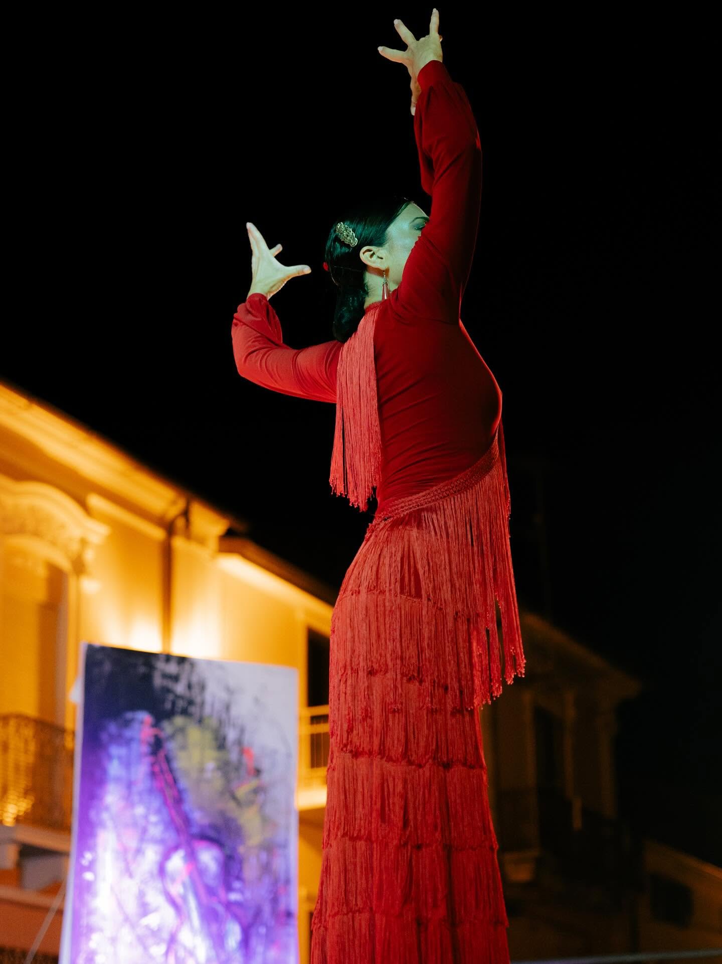 San Lucido Flamenco 8 - San Lucido capitale del flamenco e della creatività mediterranea - 11 San Lucido Flamenco 8 - Meraviglie di Calabria - 10