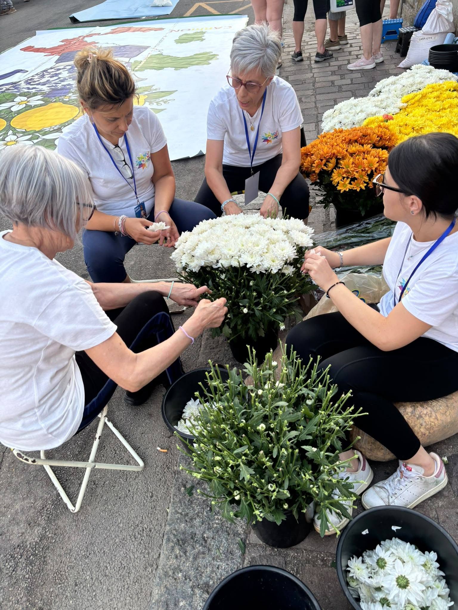 Taurianova infiorata 2026 17 - Meraviglie di Calabria - 14