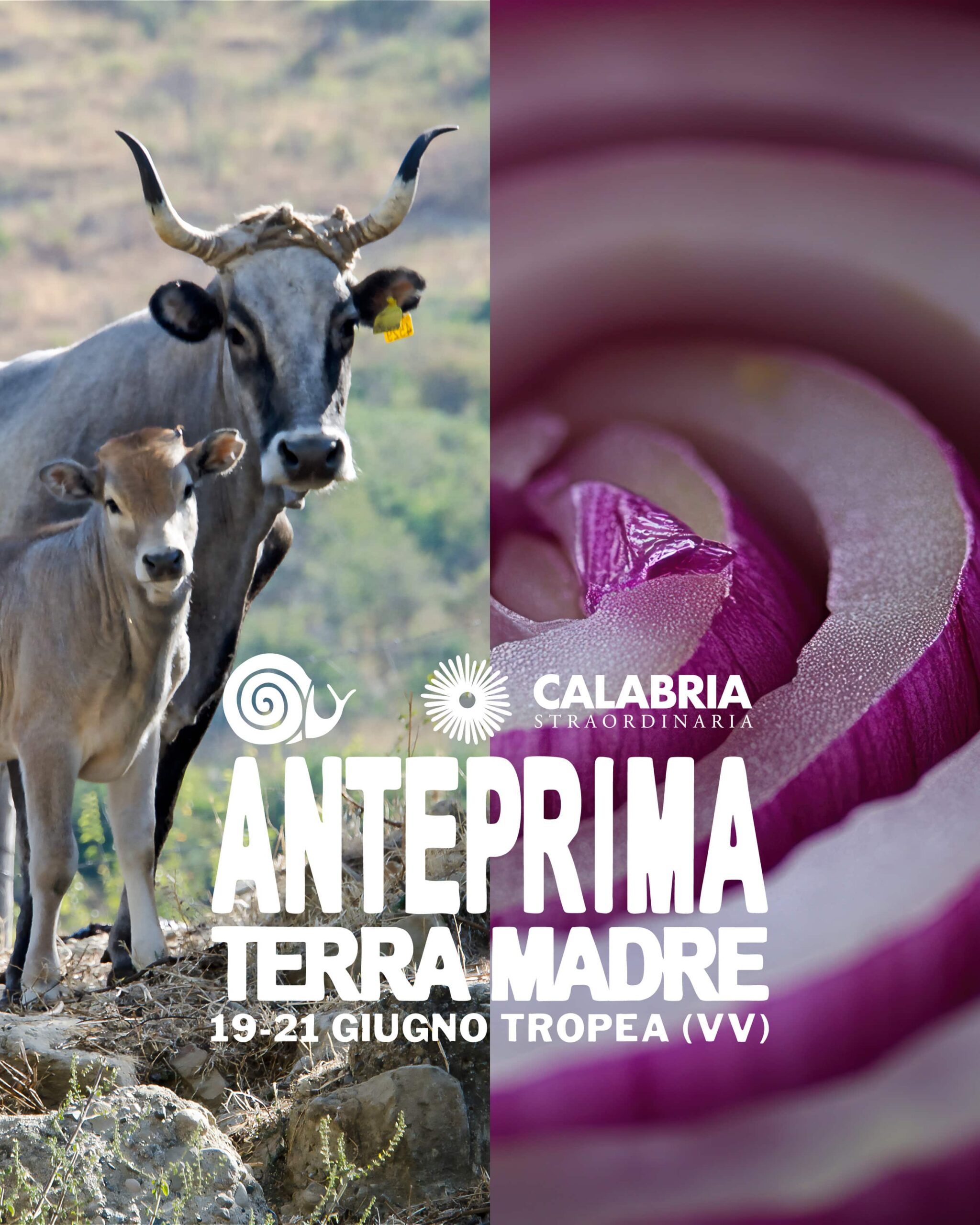 tropea IG Post Anteprima Terra Madre 5 scaled - La rete Slow Food a Tropea, è in arrivo Anteprima Terra Madre 2026 - 11 tropea IG Post Anteprima Terra Madre 5 scaled - Meraviglie di Calabria - 10