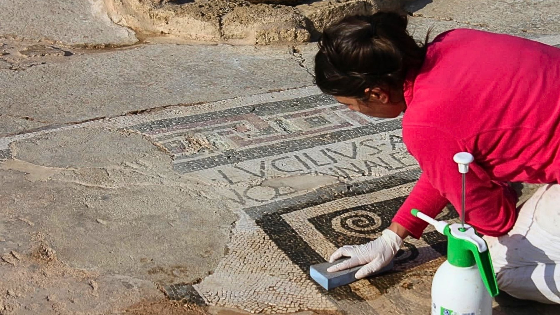 Parco di Capo Colonna, riapre il Balneum con il Mosaico dei Delfini