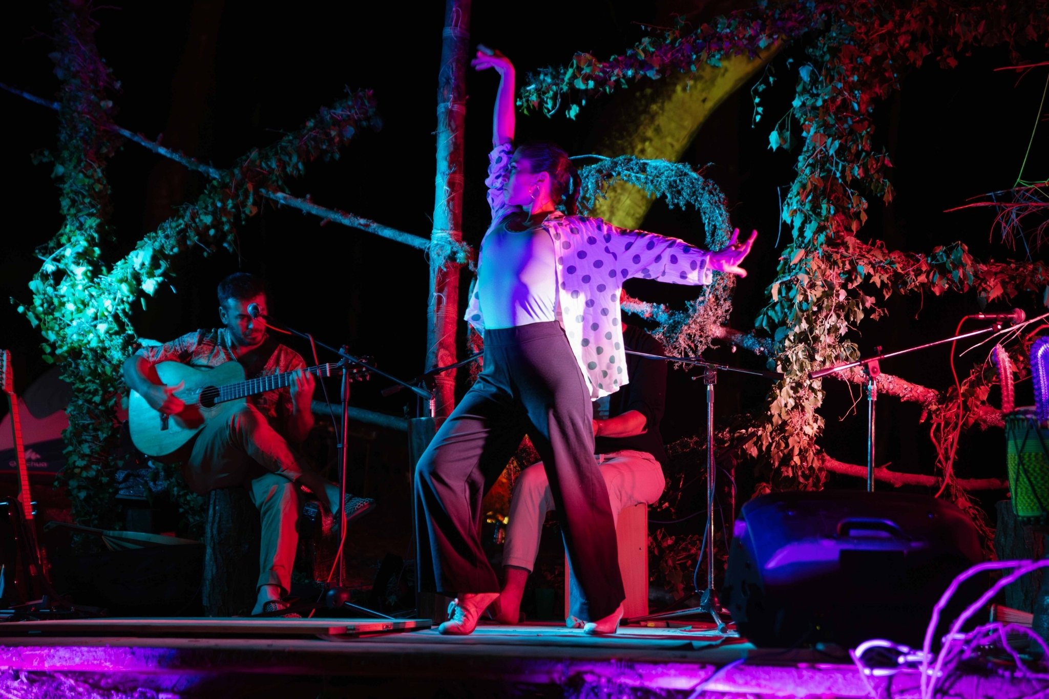Eko Fest Foto Elena Vaccaro 4 - Kalabria Eco Fest: musica, laboratori e simposi nel bosco di Polia - 5 Eko Fest Foto Elena Vaccaro 4 - Meraviglie di Calabria - 4