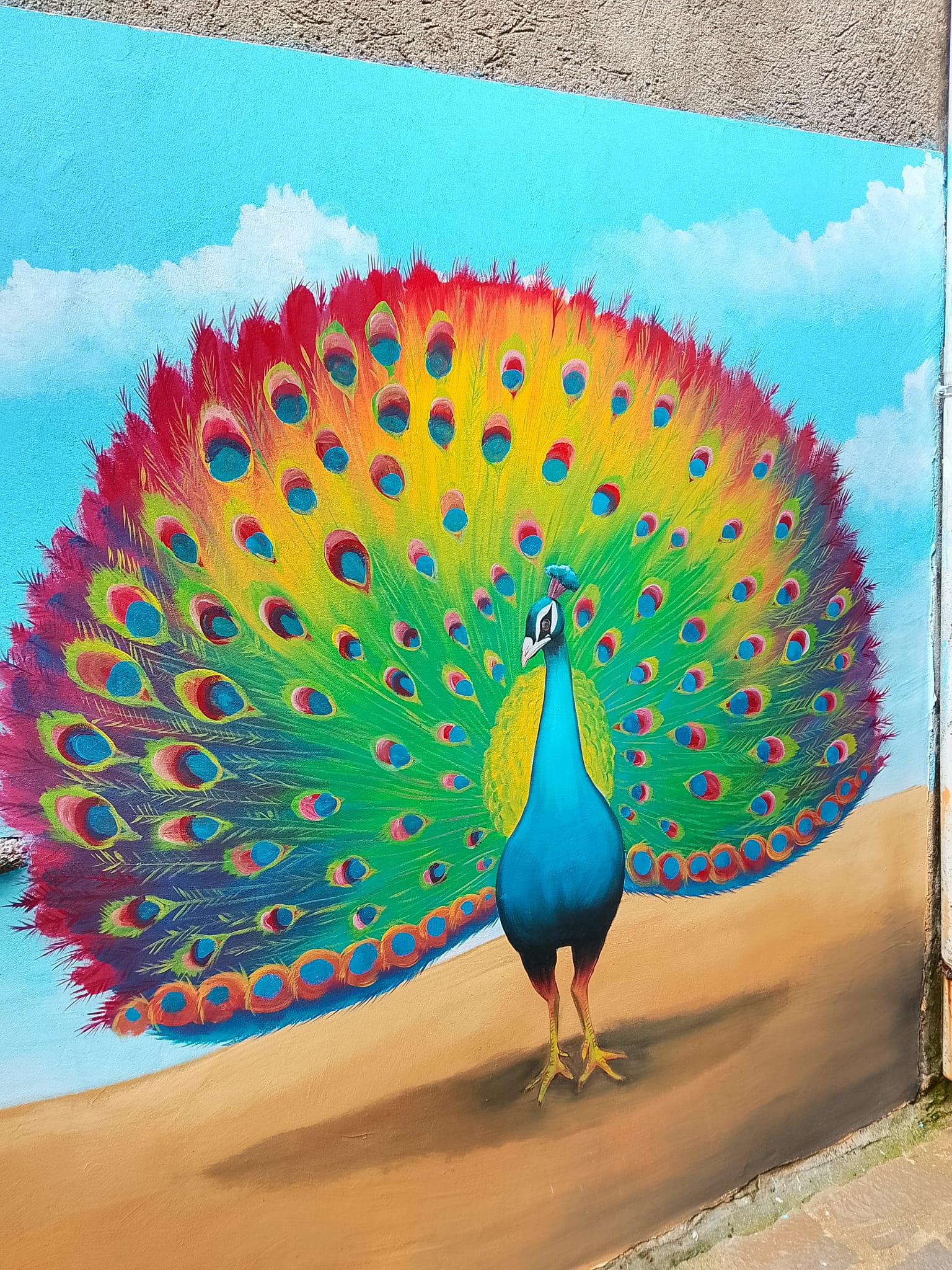 Fabrizia Murales Esopo Matteo Lupia 20 - Storie di animali parlanti, le favole di Esopo nei murales di Fabrizia - 7 Fabrizia Murales Esopo Matteo Lupia 20 - Meraviglie di Calabria - 6