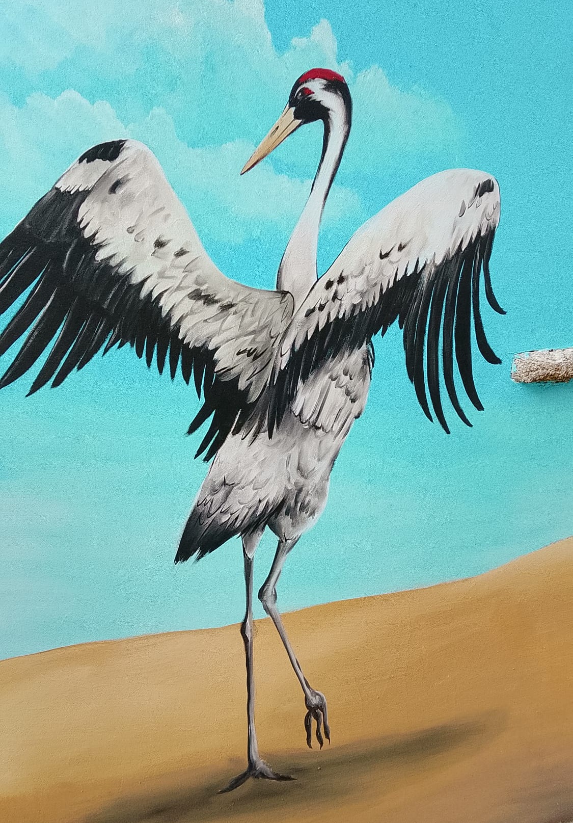 Fabrizia Murales Esopo Matteo Lupia 28 - Storie di animali parlanti, le favole di Esopo nei murales di Fabrizia - 9 Fabrizia Murales Esopo Matteo Lupia 28 - Meraviglie di Calabria - 8