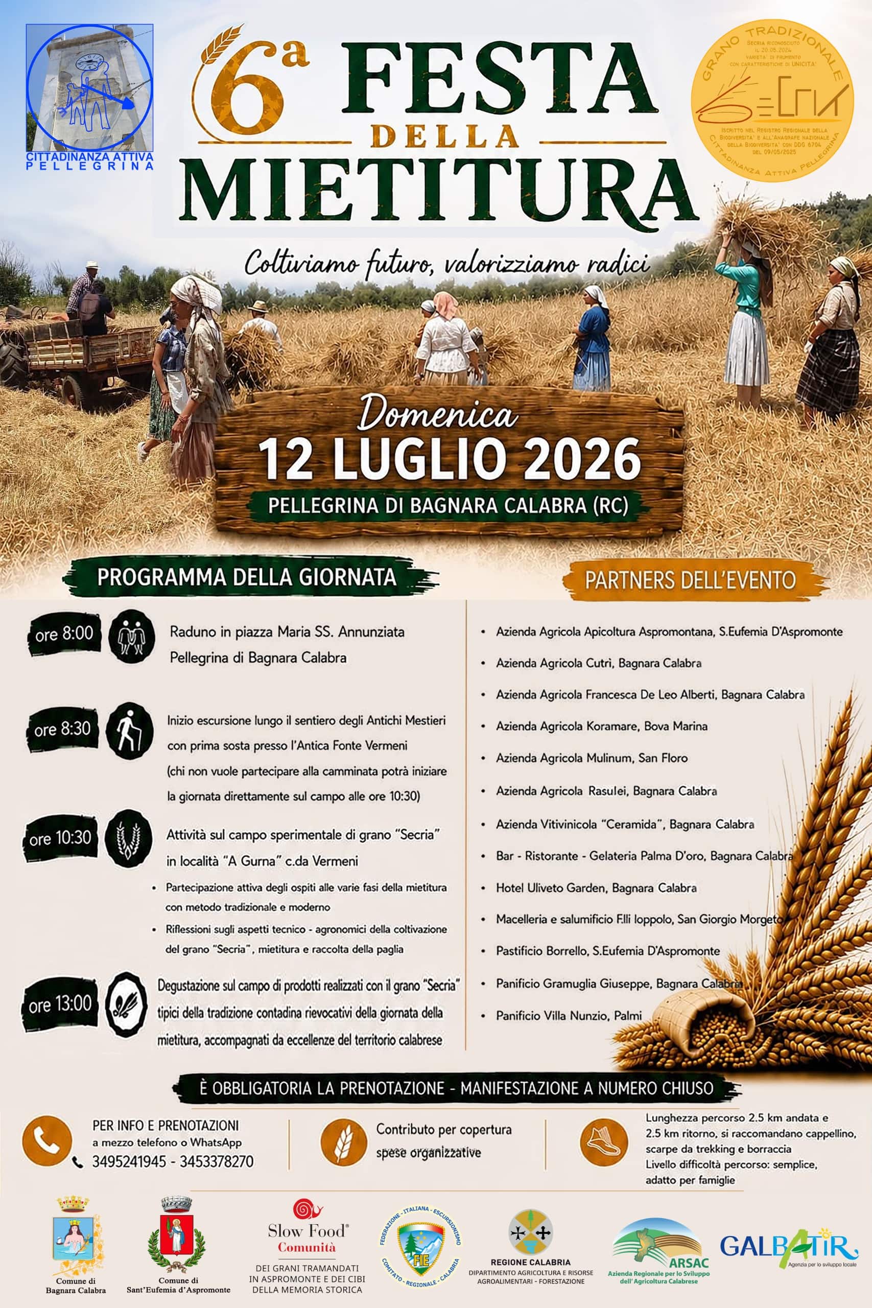 Loc pellegrina festa della mietitura - Nel nome del Secrìa, Festa della Mietitura a Pellegrina di Bagnara - 13 Loc pellegrina festa della mietitura - Meraviglie di Calabria - 12