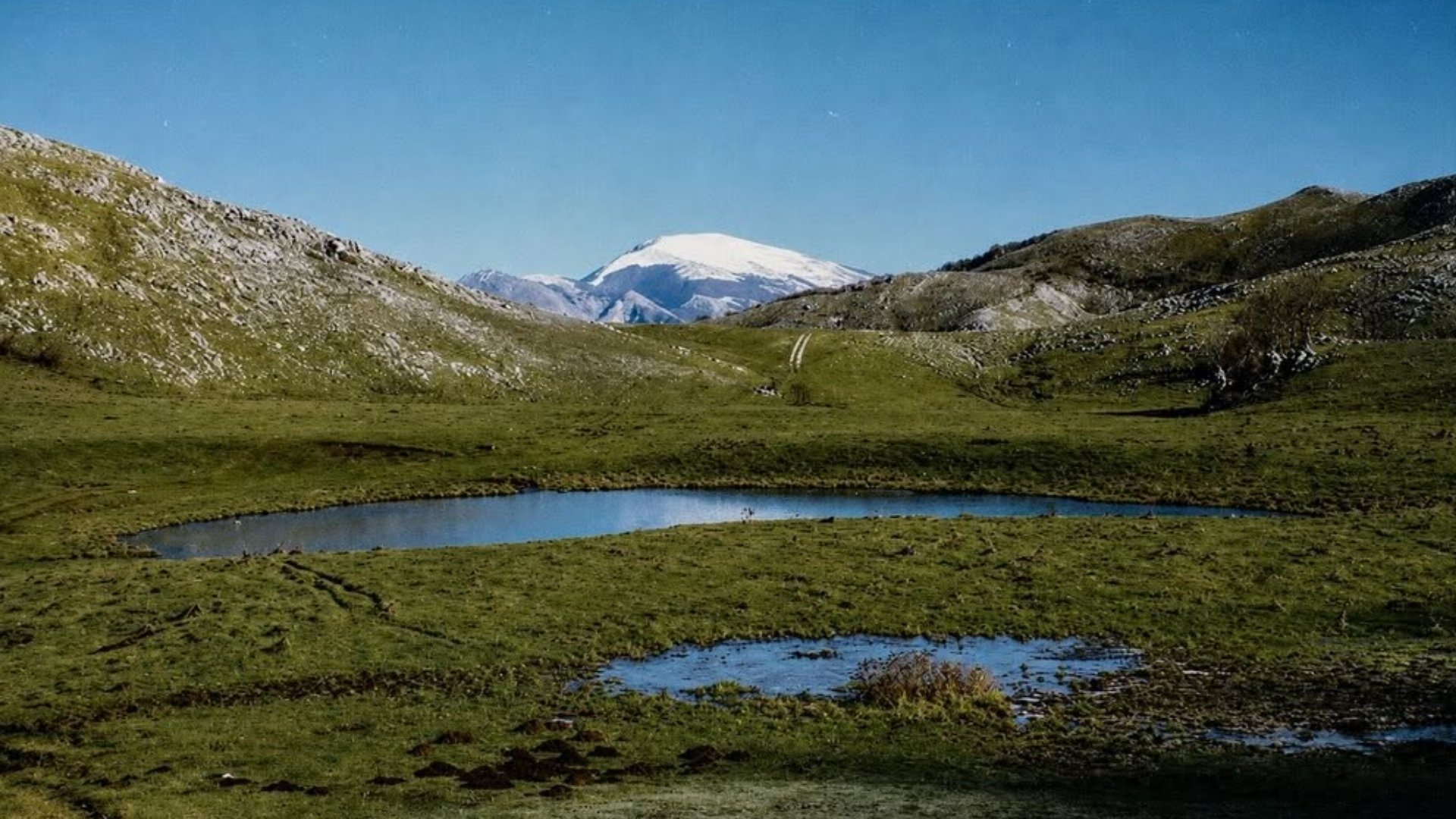 Pollino Film Festival, a Masistro Park tre giorni di cinema nella natura