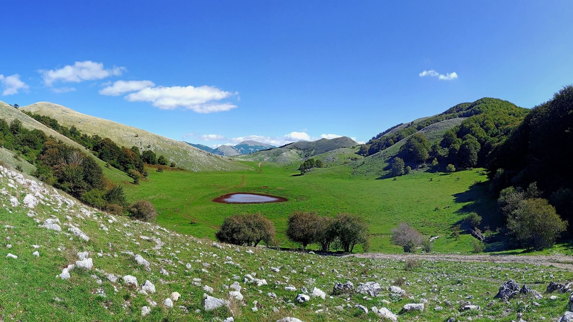 Violino Pollino, l’identità sonora del Parco più grande d’Italia