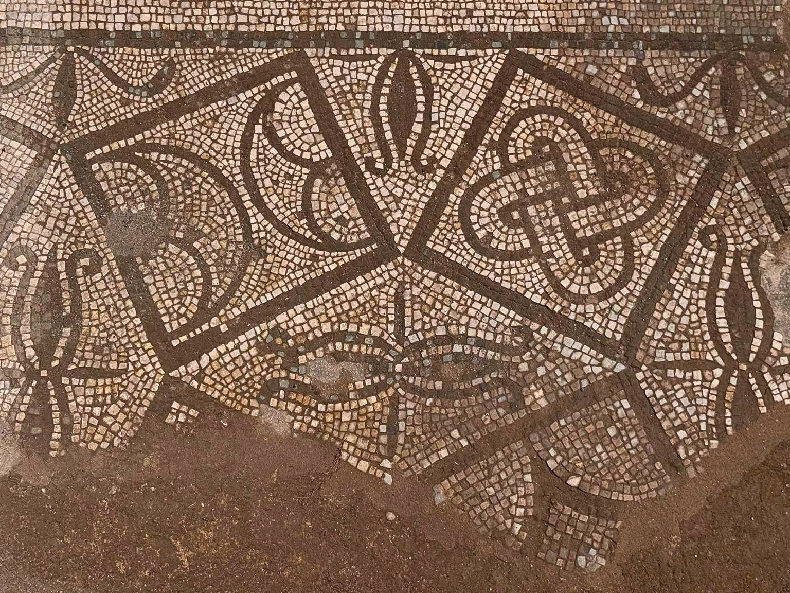 Scolacium pavimenti 2026 1 - Scolacium, nel Foro Romano tornano alla luce pavimenti preziosi - 3 Scolacium pavimenti 2026 1 - Meraviglie di Calabria - 2