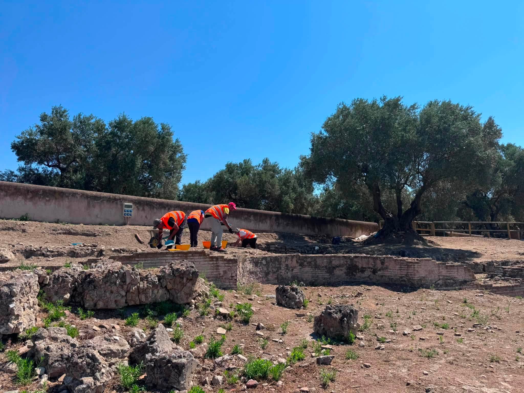 Scolacium pavimenti 2026 5 - Scolacium, nel Foro Romano tornano alla luce pavimenti preziosi - 7 Scolacium pavimenti 2026 5 - Meraviglie di Calabria - 6
