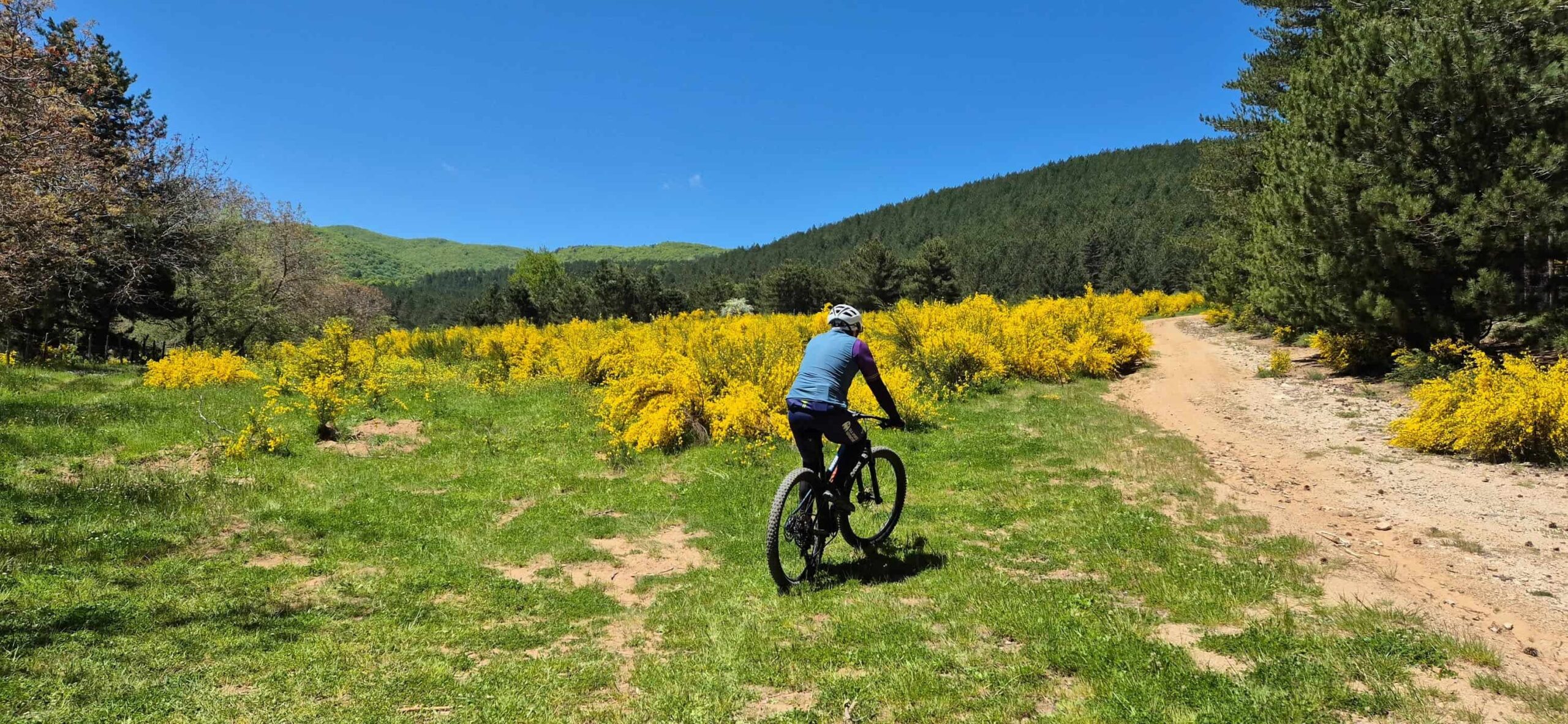 Sila bike 1 scaled - Sila X Duchenne, nel Parco nazionale mountain bike e trekking solidali - 5 Sila bike 1 scaled - Meraviglie di Calabria - 4