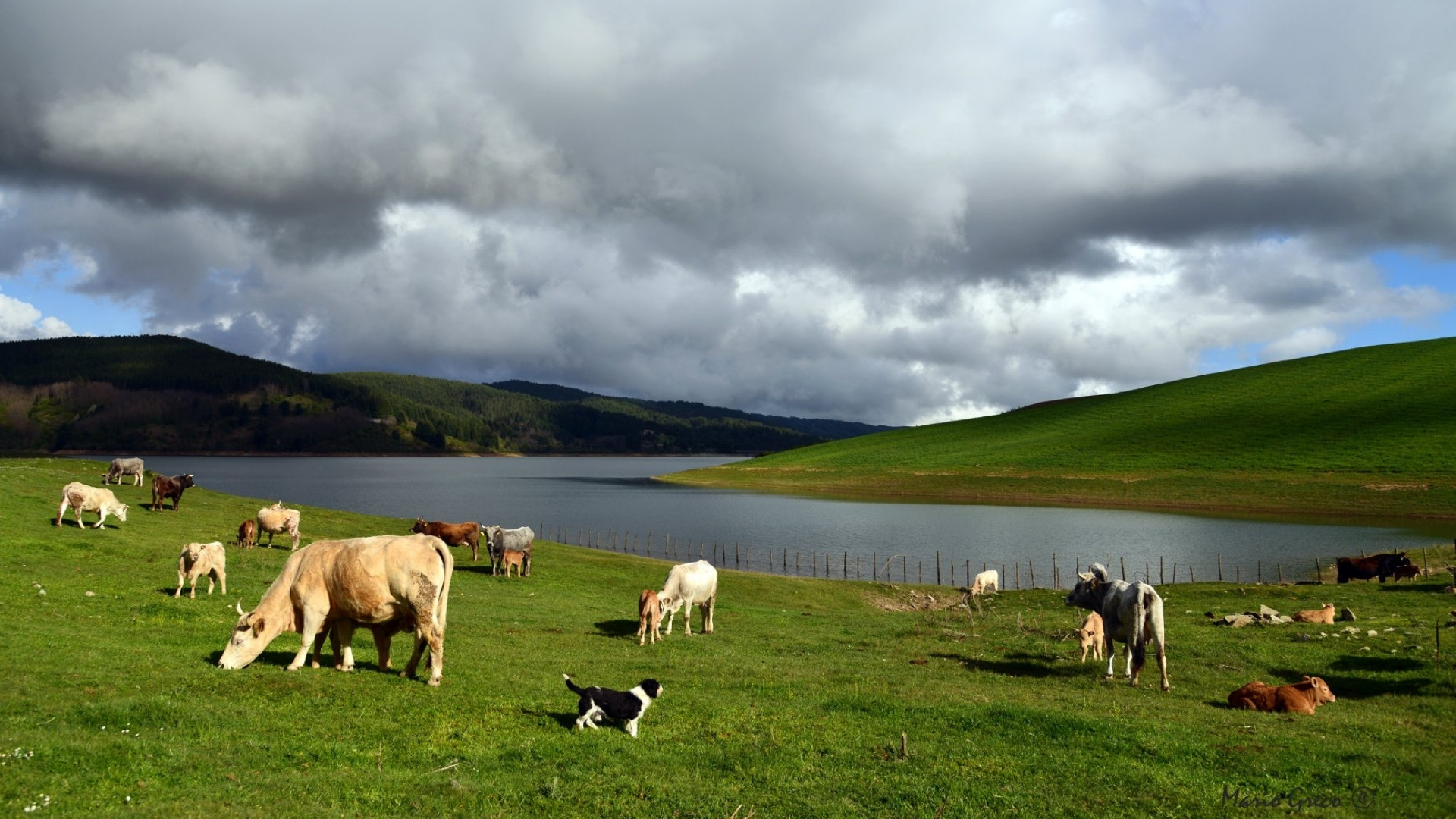 Fattorie Aperte in Sila, cento giorni nella natura (anche) con l’aiuto AI