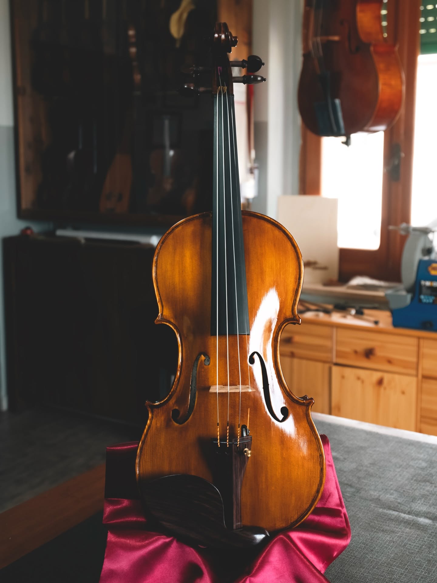 Violino Pollino 1 - Violino Pollino, l’identità sonora del Parco più grande d’Italia - 13 Violino Pollino 1 - Meraviglie di Calabria - 12