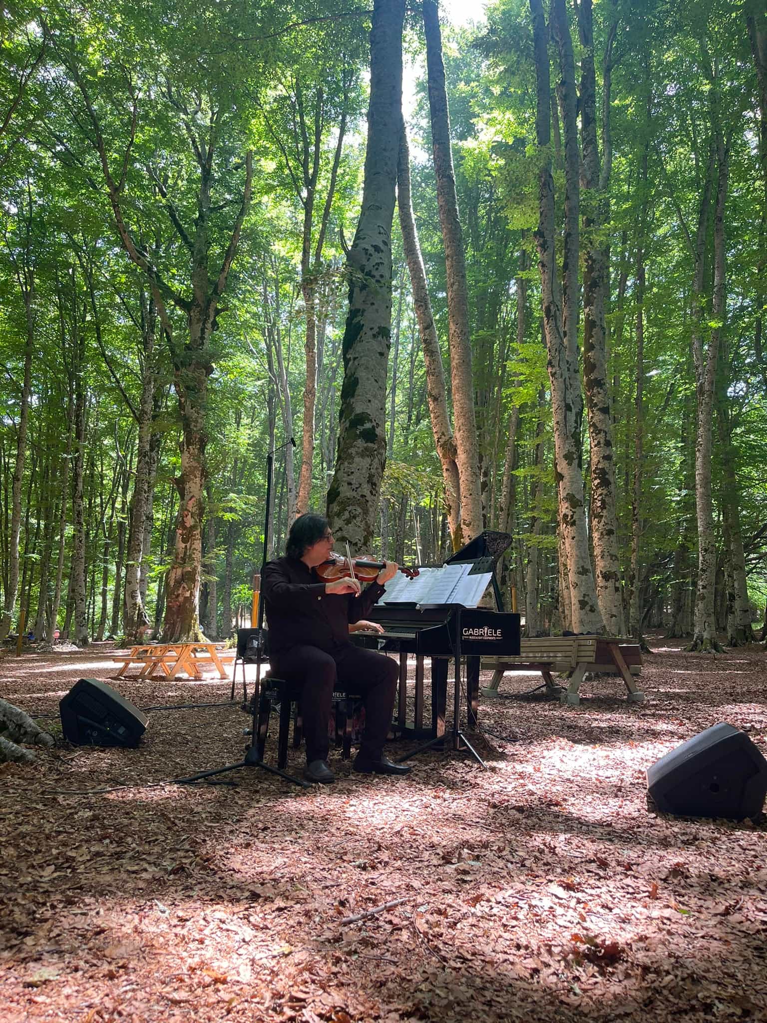 Violino Pollino Masistro 3 - Violino Pollino, l’identità sonora del Parco più grande d’Italia - 7 Violino Pollino Masistro 3 - Meraviglie di Calabria - 6