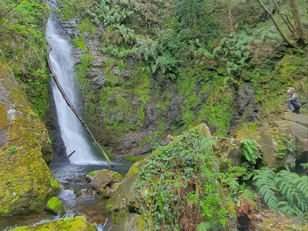 cascate mundu e galasia guide ufficiali aspromonte 2 - Fuga dall’afa in Calabria, ecco le riserve fluviali dove trovare refrigerio - 31 cascate mundu e galasia guide ufficiali aspromonte 2 - Meraviglie di Calabria - 30