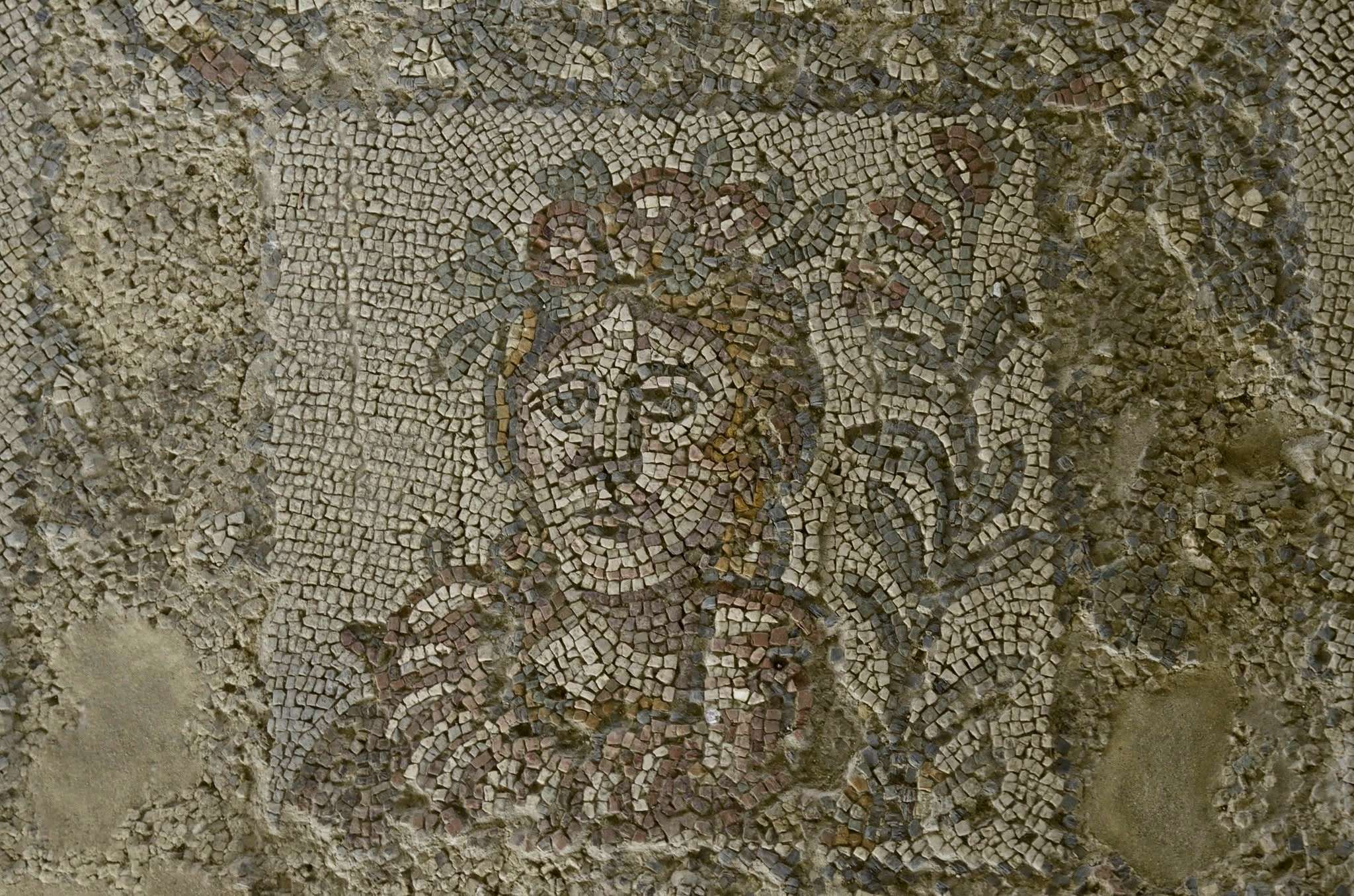 casignana villa romana 1 - Meraviglie di Calabria - 10
