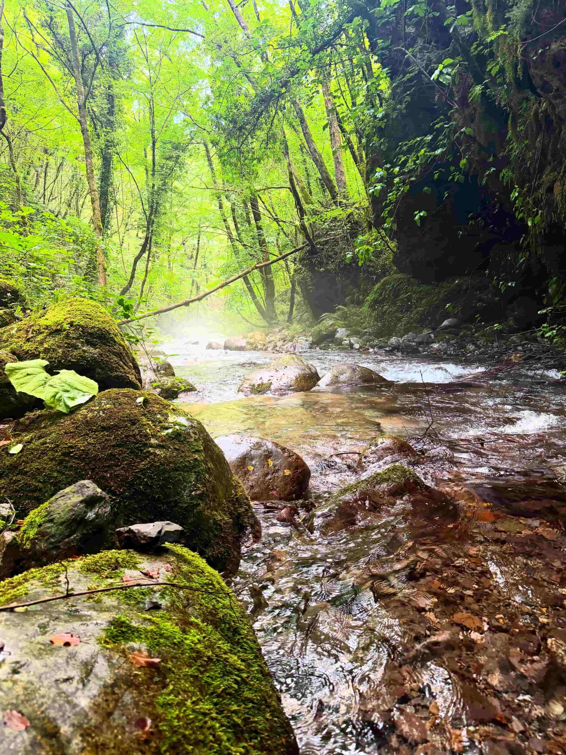 fiume argentino ph Gaetano Sangineti scaled - Fuga dall’afa in Calabria, ecco le riserve fluviali dove trovare refrigerio - 5 fiume argentino ph Gaetano Sangineti scaled - Meraviglie di Calabria - 4
